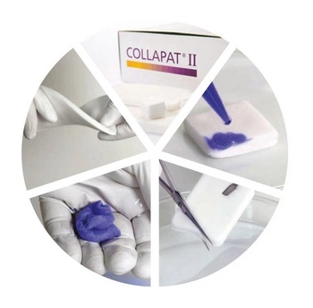 COLLAPAT II